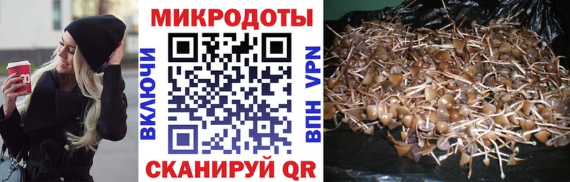 Галлюциногенные грибы Magic Shrooms  Курган 