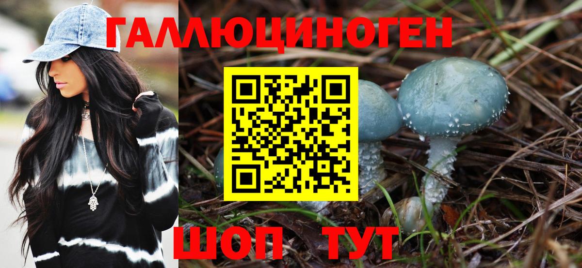 Галлюциногенные грибы Psilocybine cubensis Курган