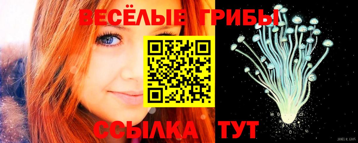 Курган  Галлюциногенные грибы мицелий  Вход с VPN 